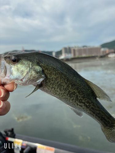 名鉄ワンド