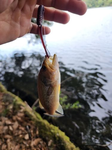 一碧湖