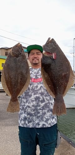 ヒラメの釣果