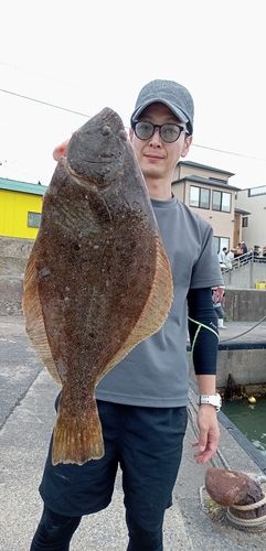 ヒラメの釣果