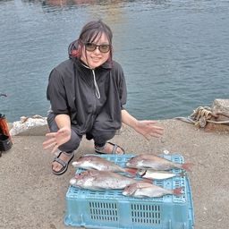 マダイ