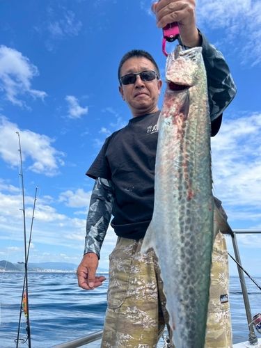 サワラの釣果