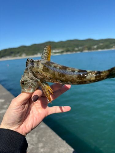 三陸海岸（岩手）