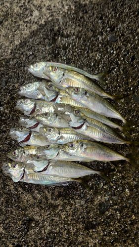 江浦湾
