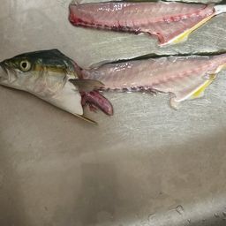 ワカシ