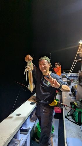 スルメイカの釣果