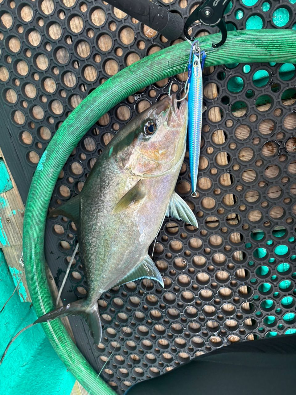 SHIMANO 21グラップラー BB タイプJ スピニング S56-6の最安値