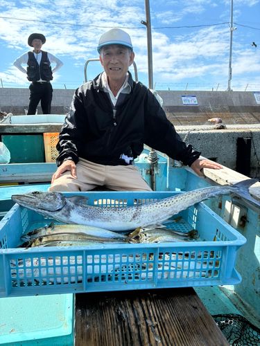 サワラの釣果