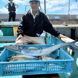 サワラ