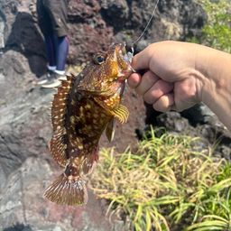 タカベ