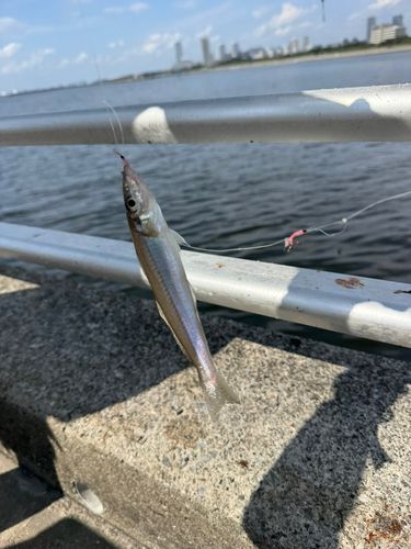 検見川浜突堤
