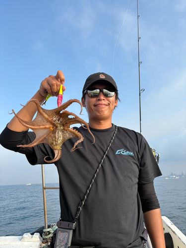タコの釣果