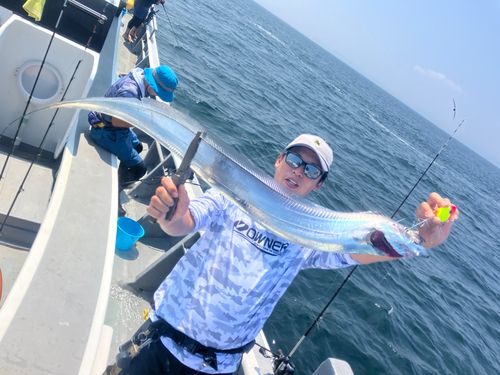 タチウオの釣果