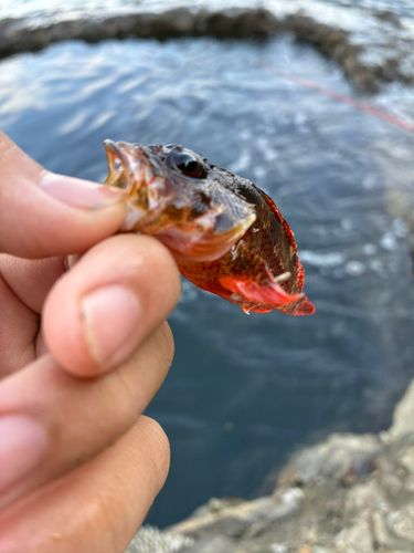 江ノ島