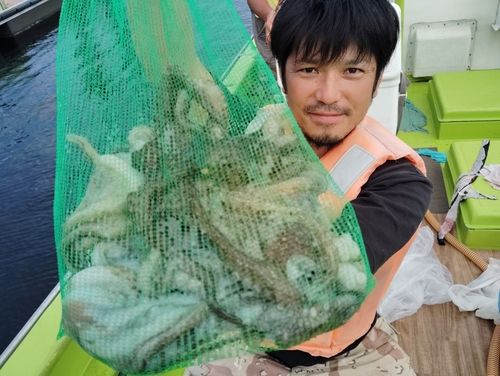 マダコの釣果