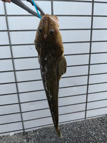 響灘大橋下