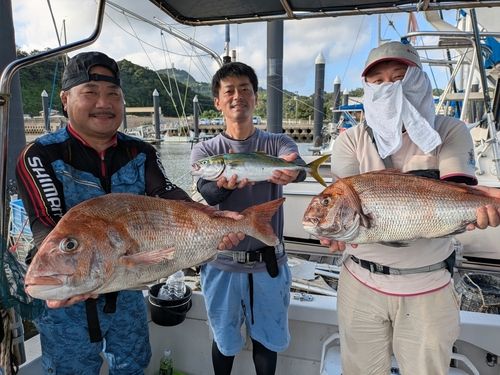 タイの釣果