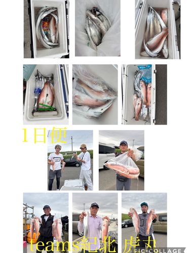 シロアマダイの釣果