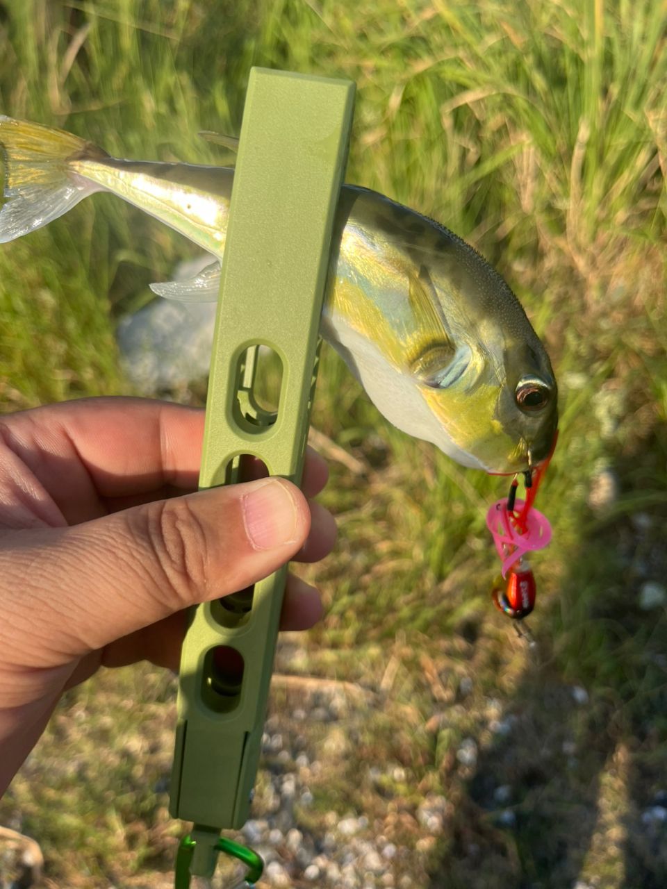 Gamakatsu ラグゼ 宵姫 華 弍 S80MH-solidの最安値・インプレ・釣果