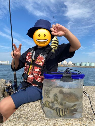大野お台場公園前