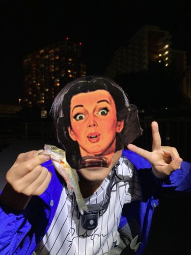 東京湾湾奥