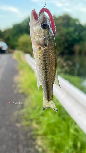 木浜1号水路