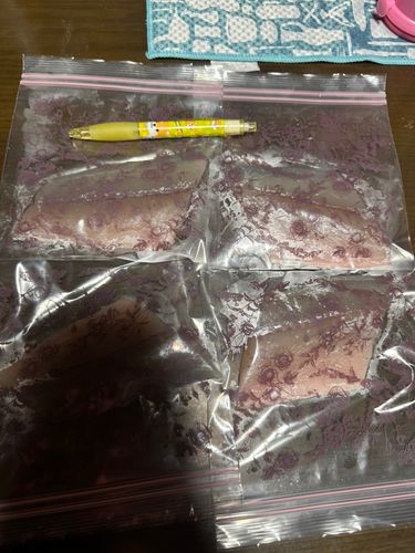 サゴシの釣果