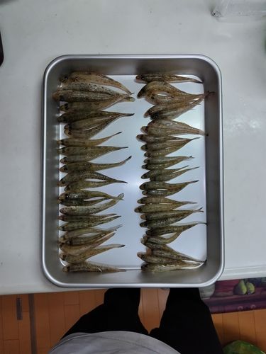 立田大橋