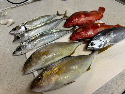 天草灘