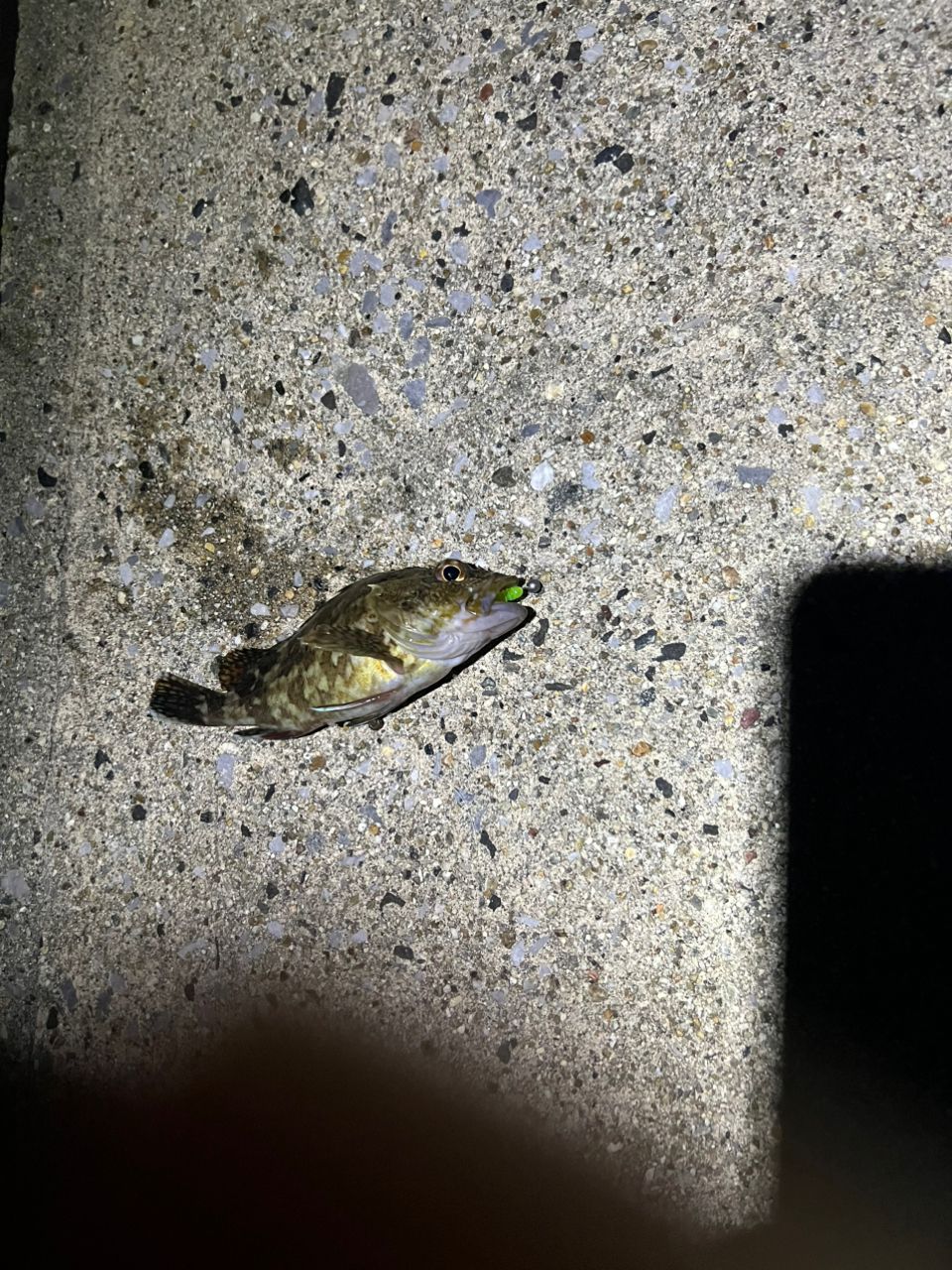 チャリコ