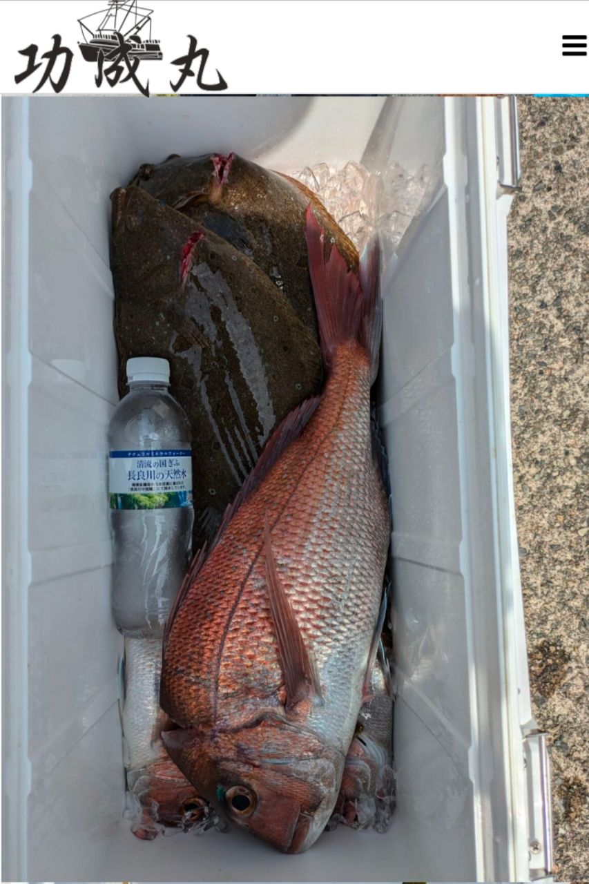 海釣り最高マンさんの釣果 2枚目の画像