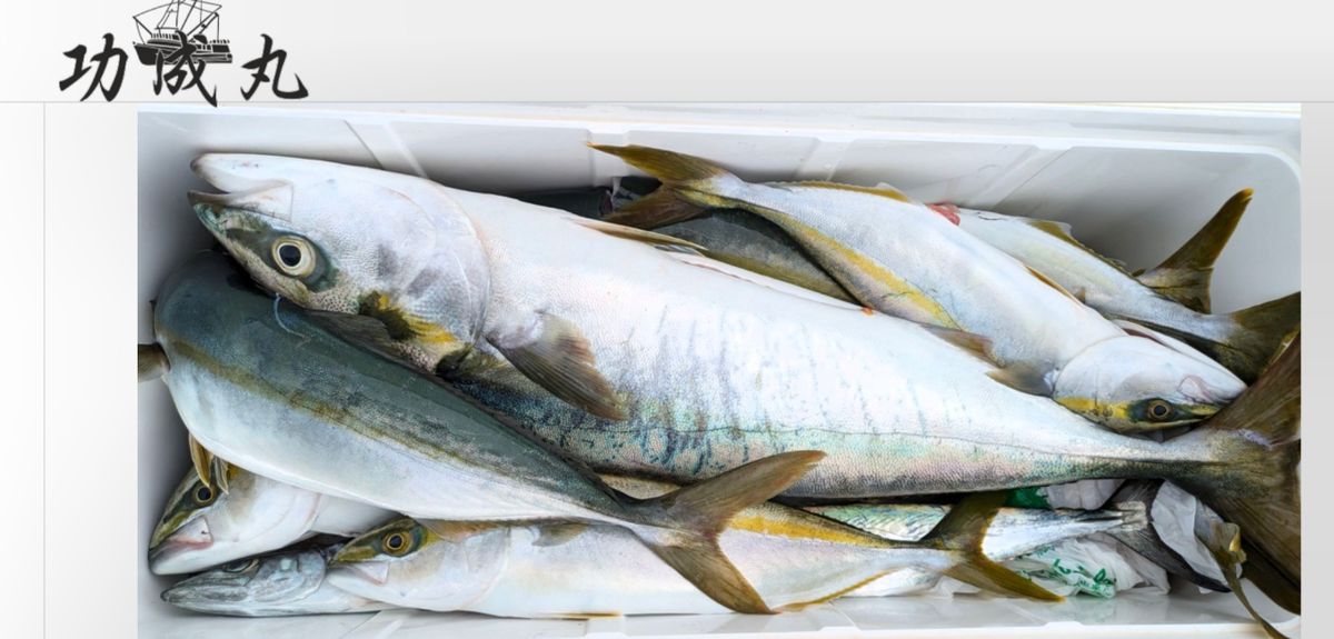 海釣り最高マンさんの釣果 1枚目の画像