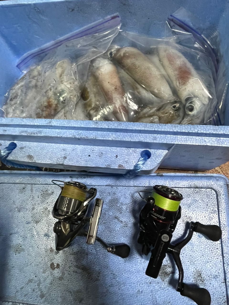 SHIMANO 18セフィア CI4+ ティップエギング S511M-Sの最安値・インプレ