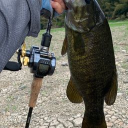 スモールマウスバス