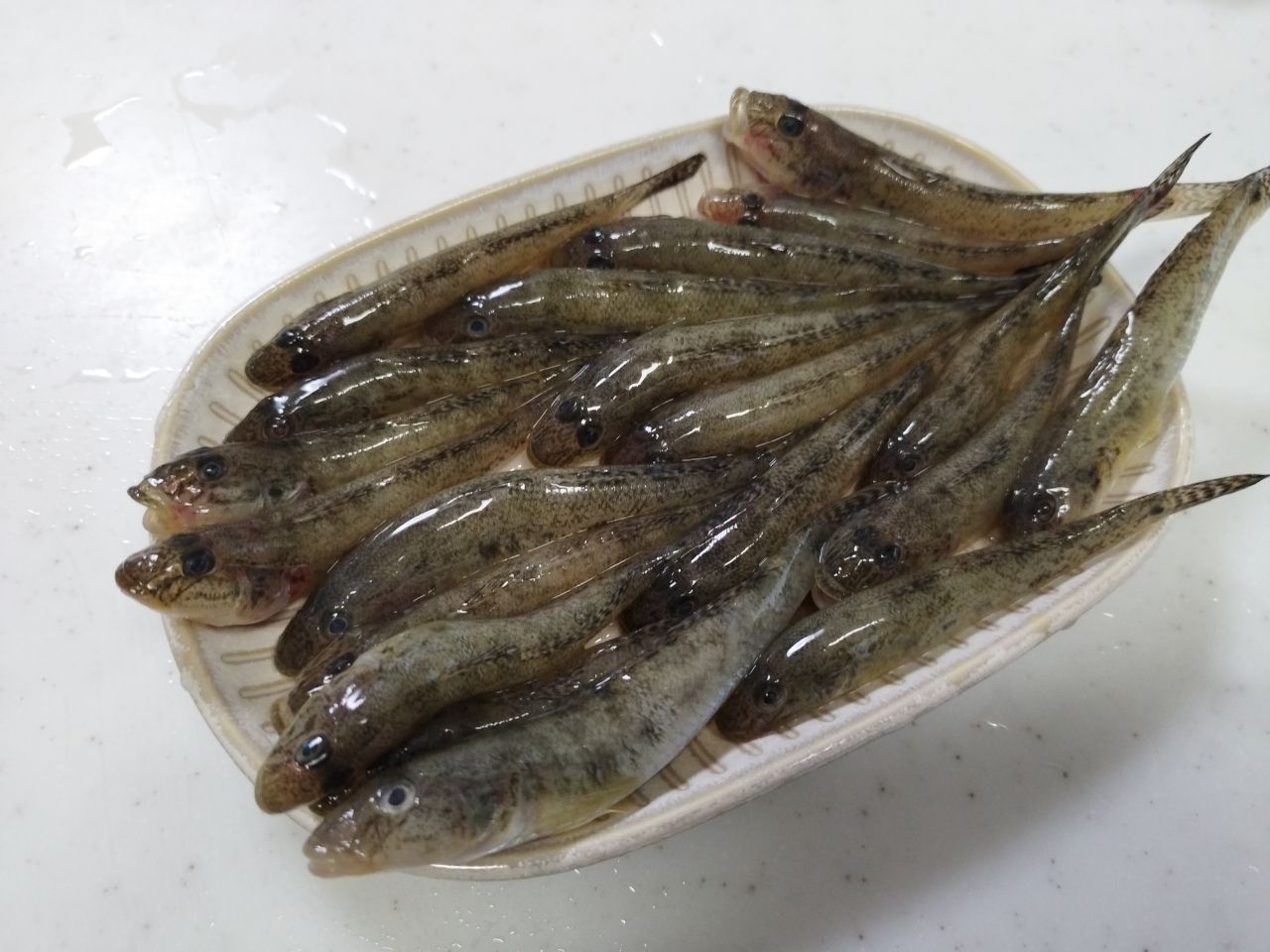 ハゼ