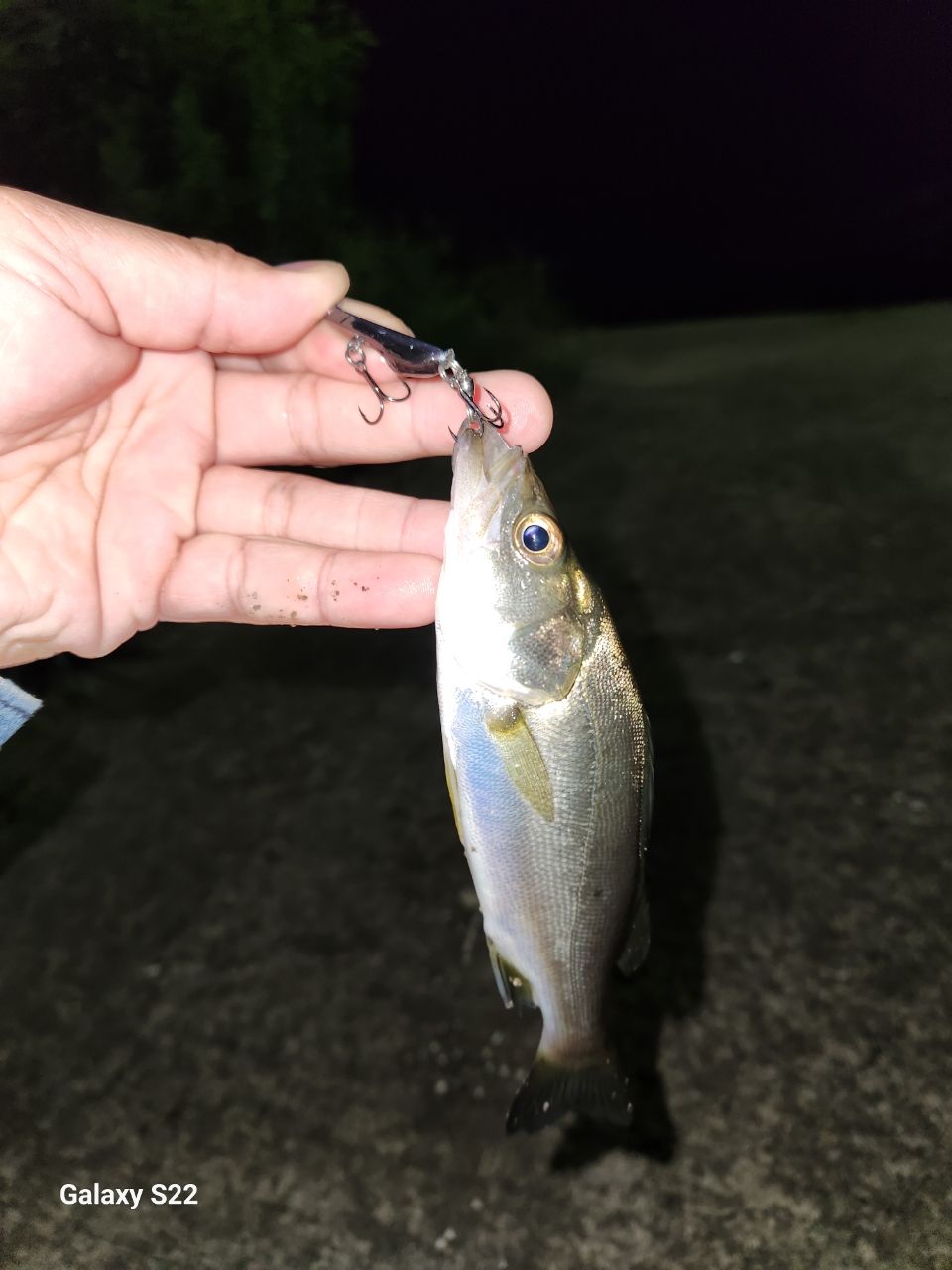 DAIWA 13ハートランド AGS 6102LFS-AGS13の最安値・インプレ・釣果