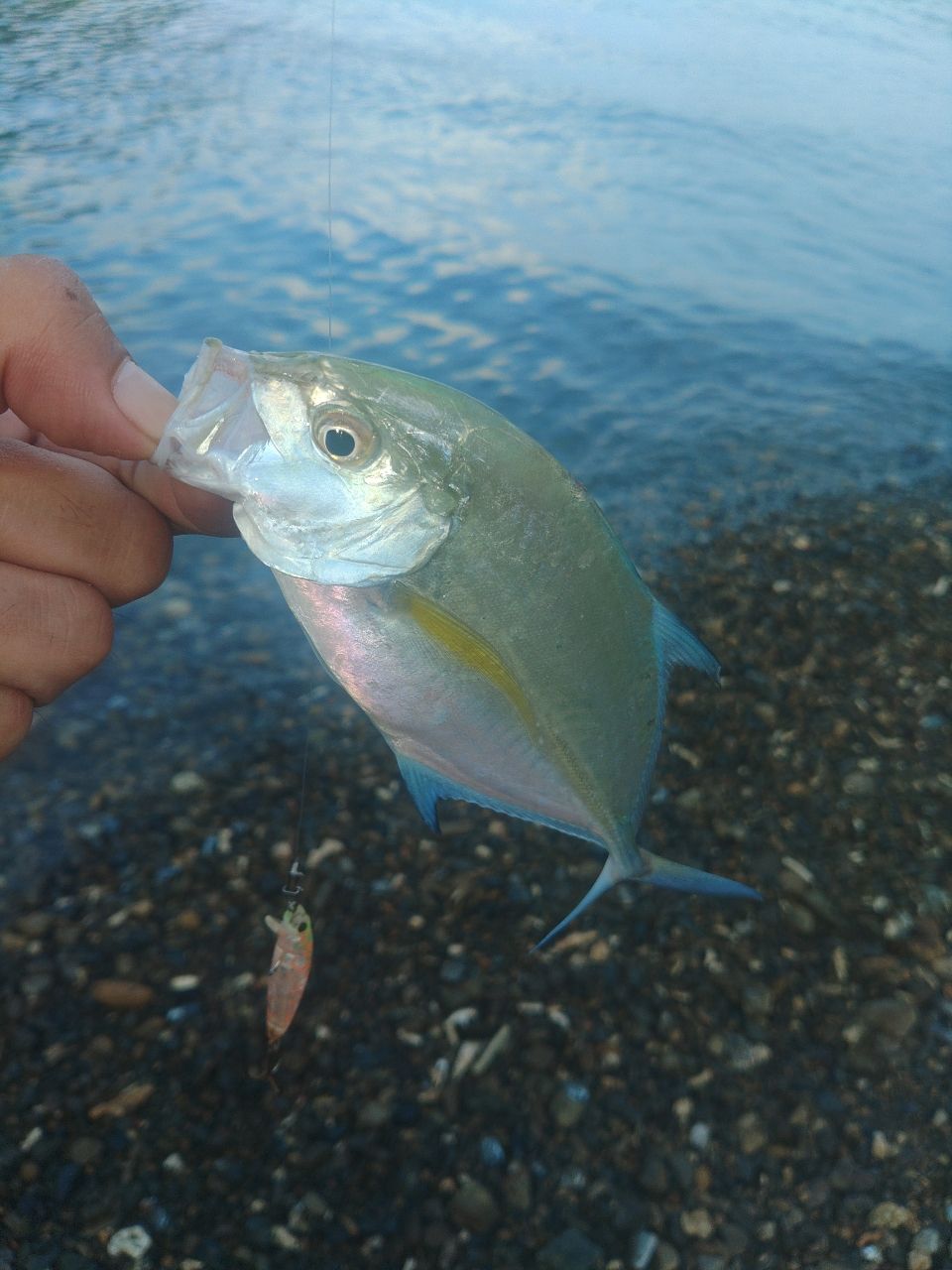 メッキ