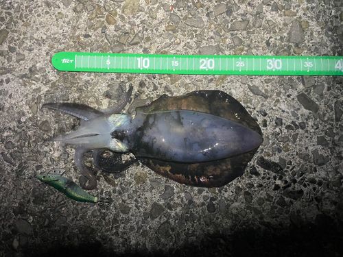 野見潮ばかり公園