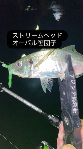 玄界灘