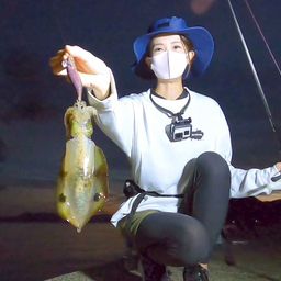 アオリイカ