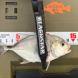 メッキ