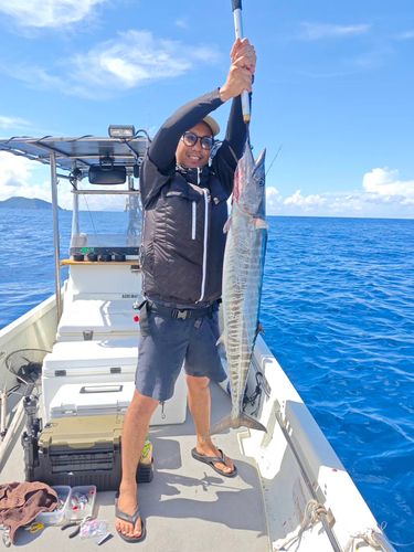オキサワラの釣果