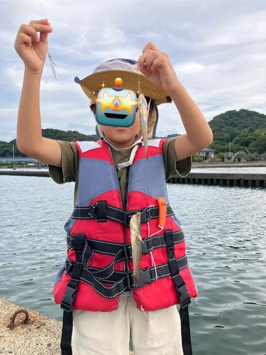 湊川河口
