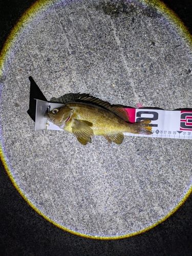 追直漁港