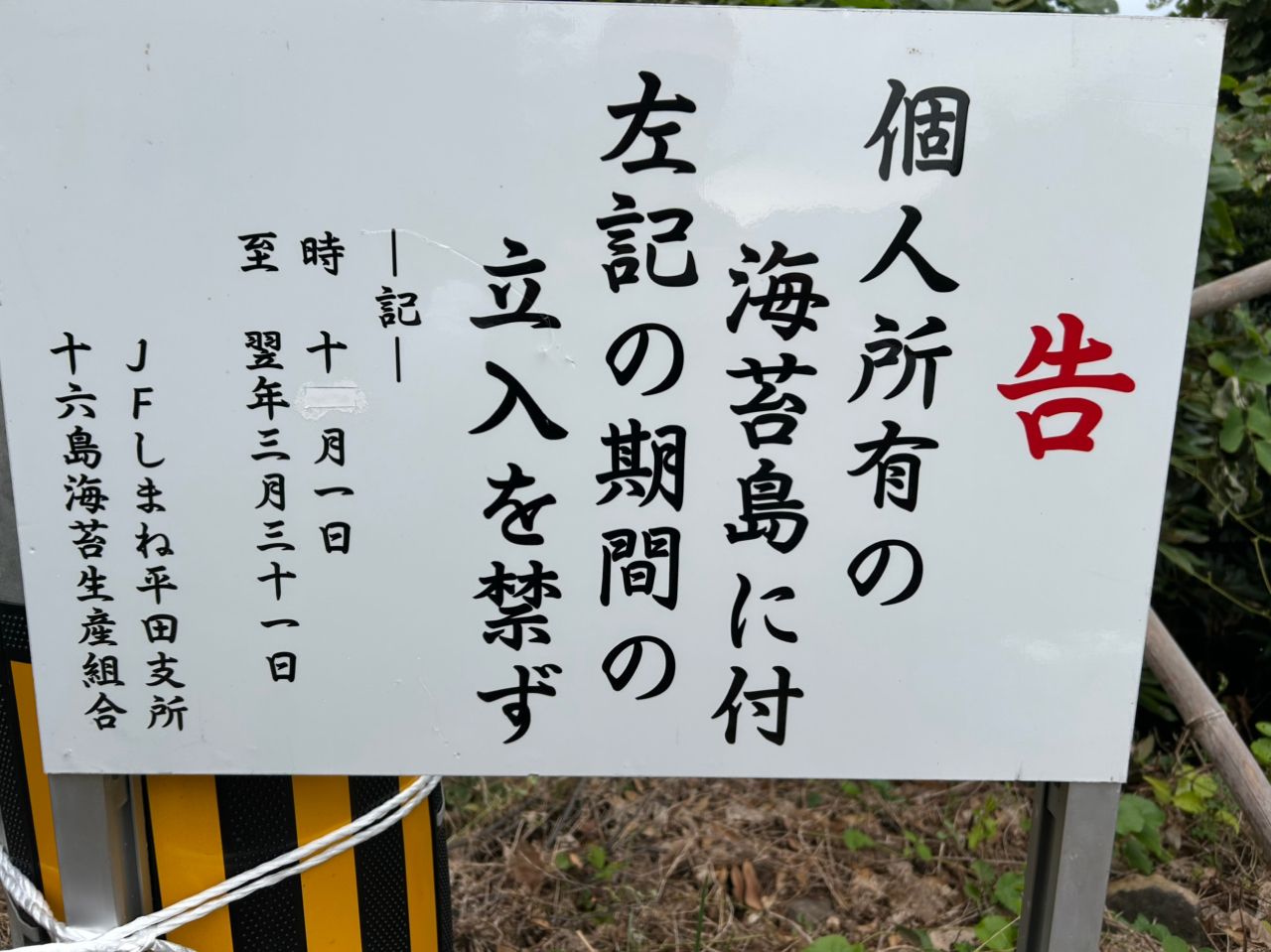 キジハタ