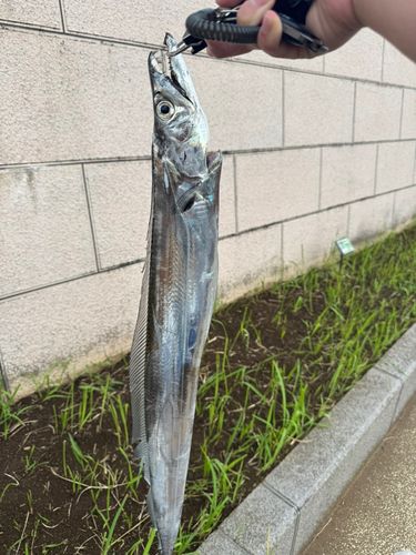 海ほたる付近