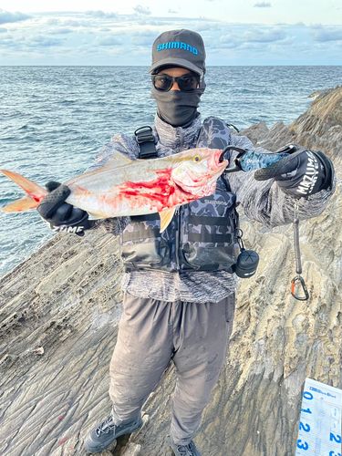 鳥取沖