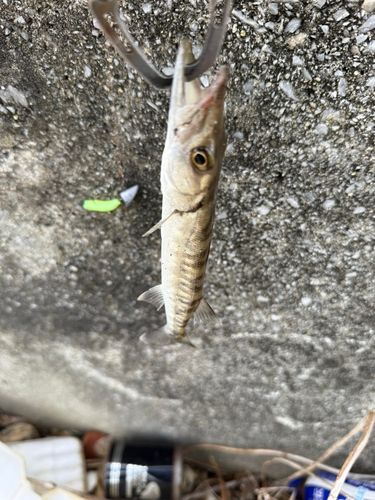 金武湾