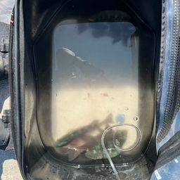 クチブトグレ