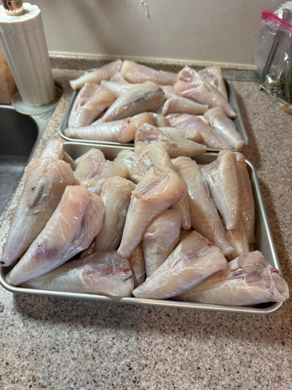 kunchanさんの釣果 3枚目の画像